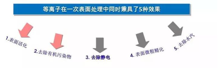 榴莲APP下载网址进入处理.png