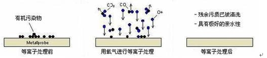 榴莲APP下载网址进入清洗机.png